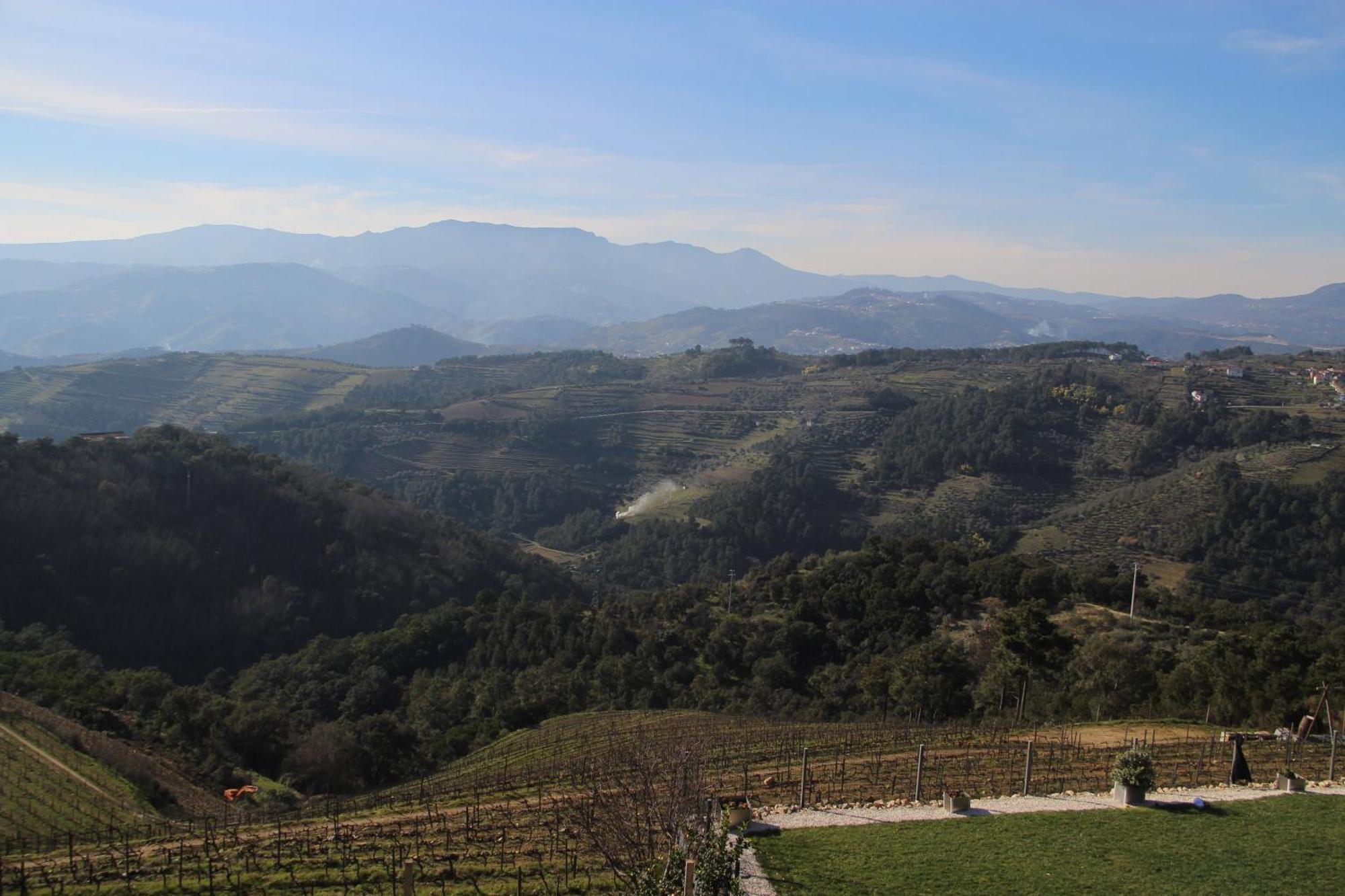 Quinta Da Corujeira Villa Vila Real Kültér fotó